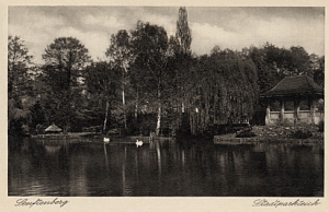 Senftenberg